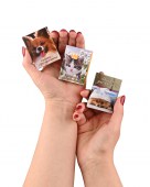 DSC_8330 OZON (1)9